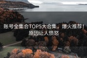 账号全集合TOP5大合集，爆火推荐！原因让人愤怒