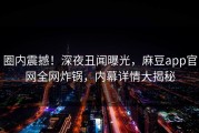 圈内震撼！深夜丑闻曝光，麻豆app官网全网炸锅，内幕详情大揭秘