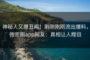神秘人又爆丑闻！刚刚刚刚流出爆料，微密圈app网友：真相让人瞠目