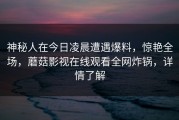 神秘人在今日凌晨遭遇爆料，惊艳全场，蘑菇影视在线观看全网炸锅，详情了解