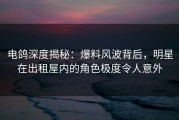 电鸽深度揭秘：爆料风波背后，明星在出租屋内的角色极度令人意外