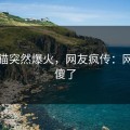 微密猫突然爆火，网友疯传：网友看傻了