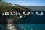 微密猫突然爆火，网友疯传：网友看傻了