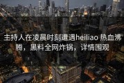 主持人在凌晨时刻遭遇heiliao 热血沸腾，黑料全网炸锅，详情围观