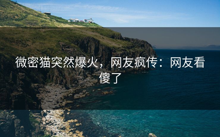 微密猫突然爆火，网友疯传：网友看傻了
