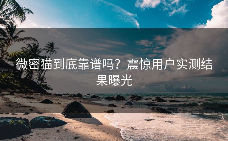 微密猫到底靠谱吗？震惊用户实测结果曝光