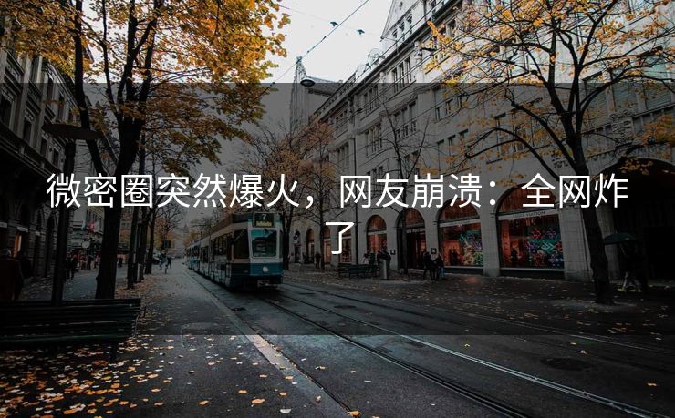 微密圈突然爆火，网友崩溃：全网炸了