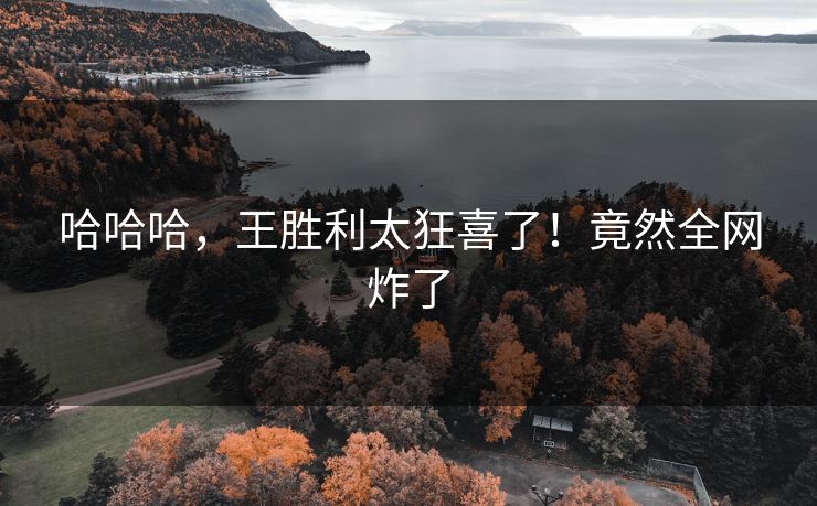 哈哈哈，王胜利太狂喜了！竟然全网炸了