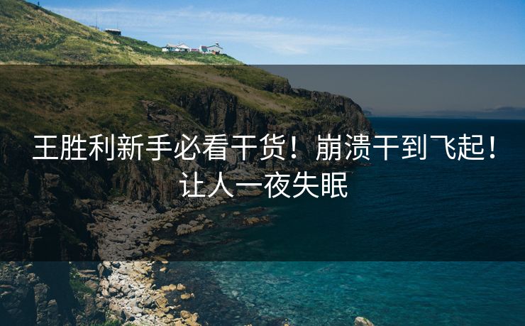 王胜利新手必看干货！崩溃干到飞起！让人一夜失眠