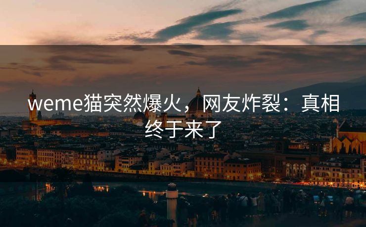 weme猫突然爆火，网友炸裂：真相终于来了