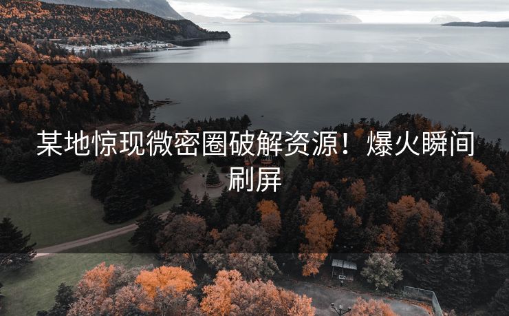 某地惊现微密圈破解资源！爆火瞬间刷屏