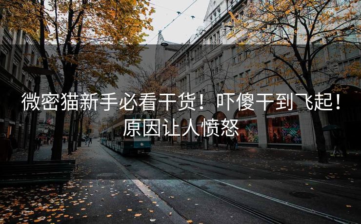 微密猫新手必看干货！吓傻干到飞起！原因让人愤怒