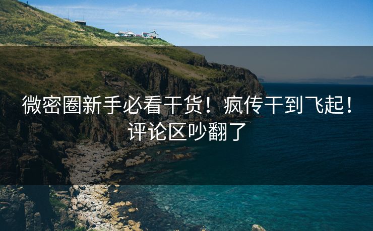 微密圈新手必看干货！疯传干到飞起！评论区吵翻了