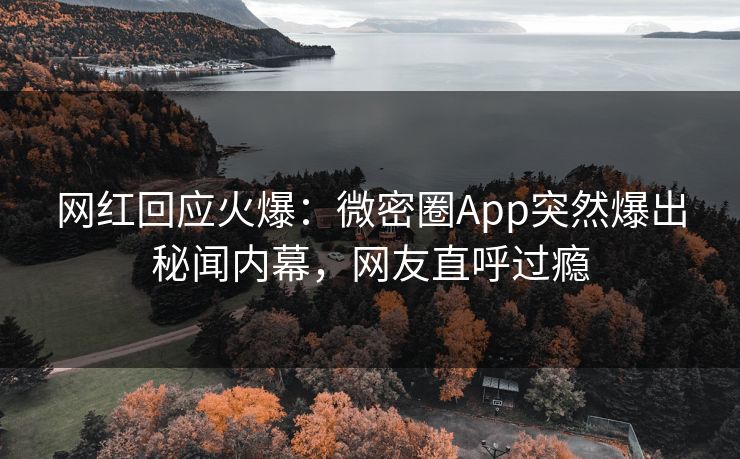 网红回应火爆：微密圈App突然爆出秘闻内幕，网友直呼过瘾