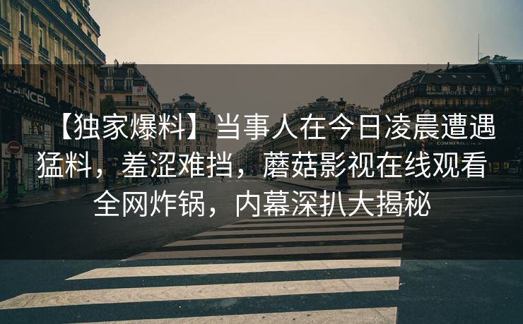 【独家爆料】当事人在今日凌晨遭遇猛料，羞涩难挡，蘑菇影视在线观看全网炸锅，内幕深扒大揭秘