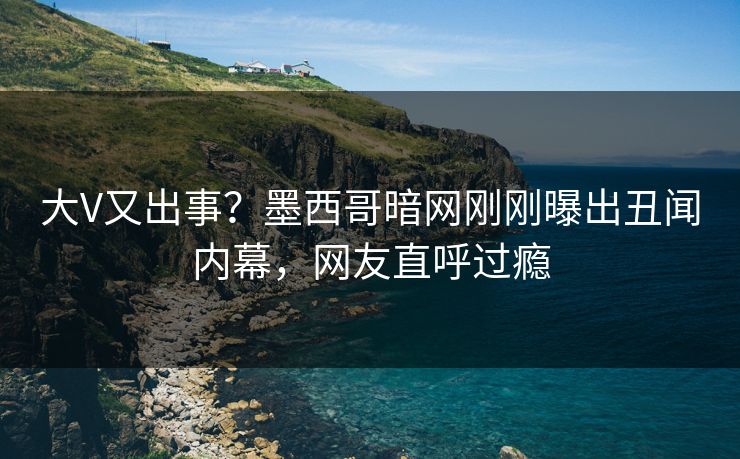 大V又出事？墨西哥暗网刚刚曝出丑闻内幕，网友直呼过瘾