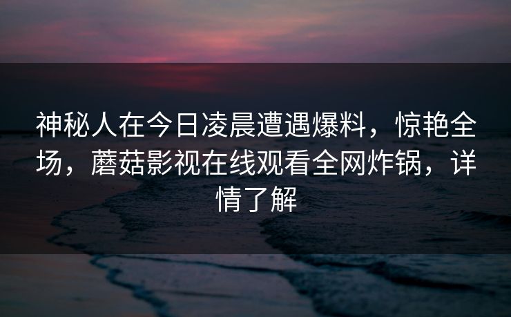神秘人在今日凌晨遭遇爆料，惊艳全场，蘑菇影视在线观看全网炸锅，详情了解